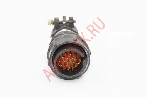 2РМТ24КПН19Ш1В1В Разъемы 2РМ, 2РМТ, 2РМГ, 2РМДТ, ОНЦ-РГ фото фото 2